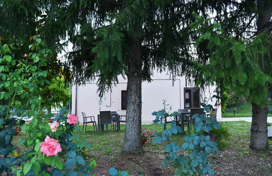 B&B Vetralla-1